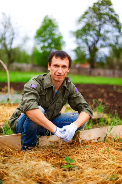 Gardener. — Stock Photo, Image