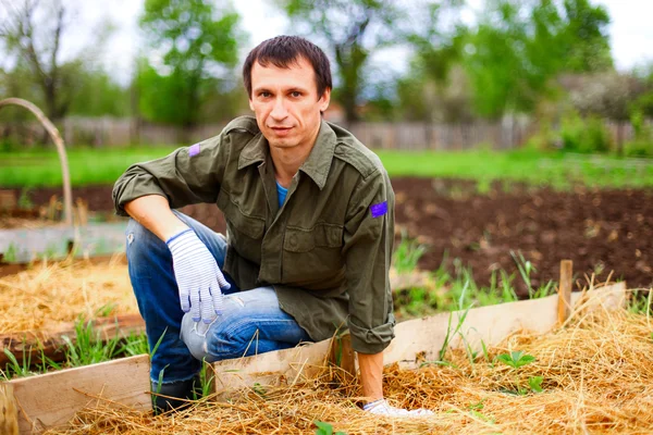 Gardener. — Stock Photo, Image