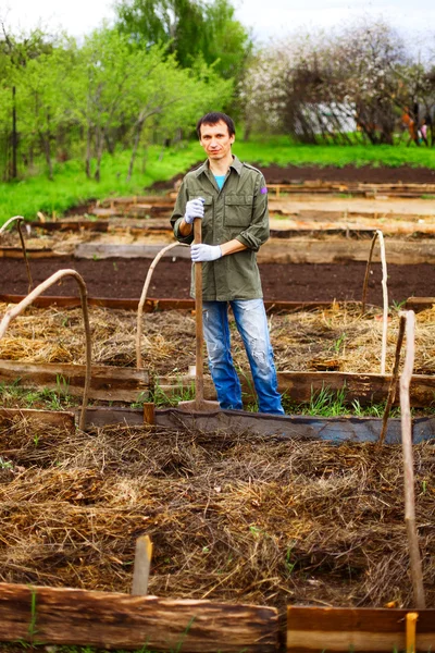 Gardener. — Stock Photo, Image