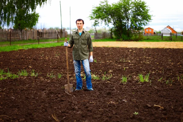 Gardener. — Stock Photo, Image