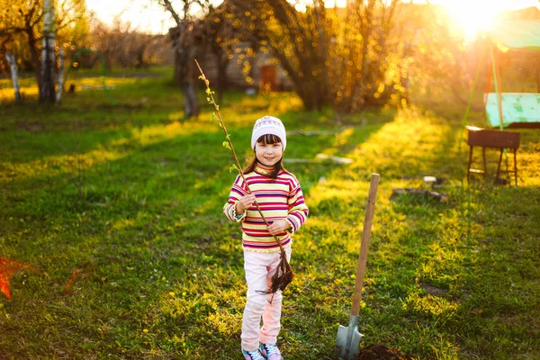 Kind. — Stockfoto