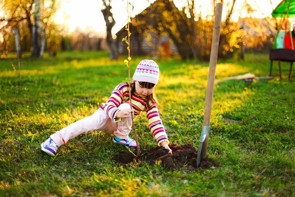 Child. — Stock Photo, Image