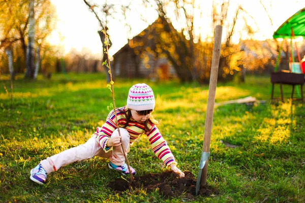 Kind. — Stockfoto