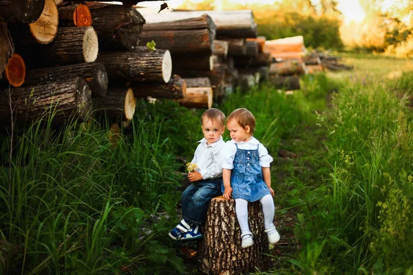 Kinder. — Stockfoto