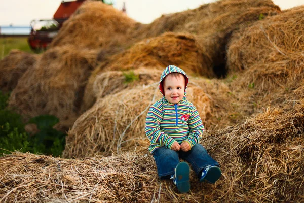 Barn. – stockfoto