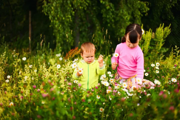 Children. — Stock Photo, Image