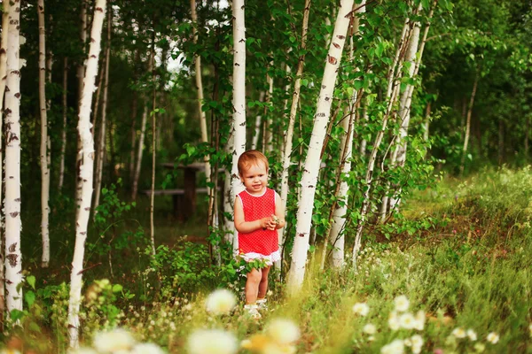 Child. — Stock Photo, Image