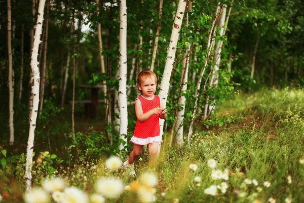 Child. — Stock Photo, Image