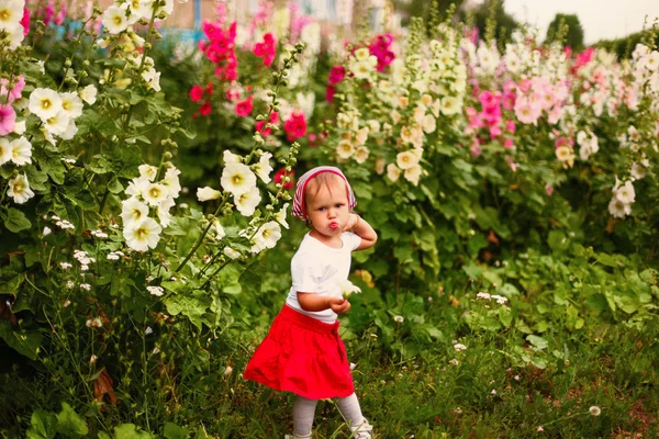 Child. — Stock Photo, Image