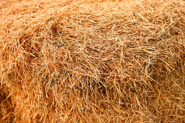 Haystack. — Stock Photo, Image