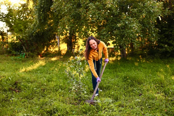 Trädgårdsmästare. — Stockfoto