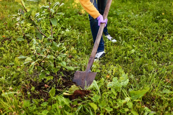 Gärtner. — Stockfoto