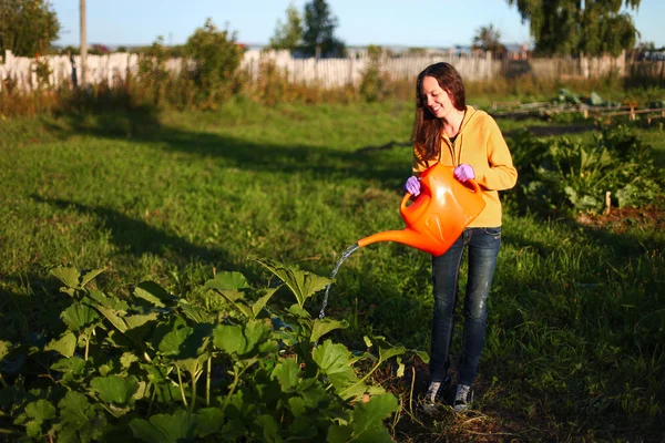 Giardiniere. — Foto Stock