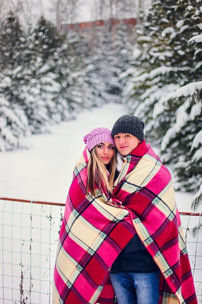 The young couple. — Stock Photo, Image