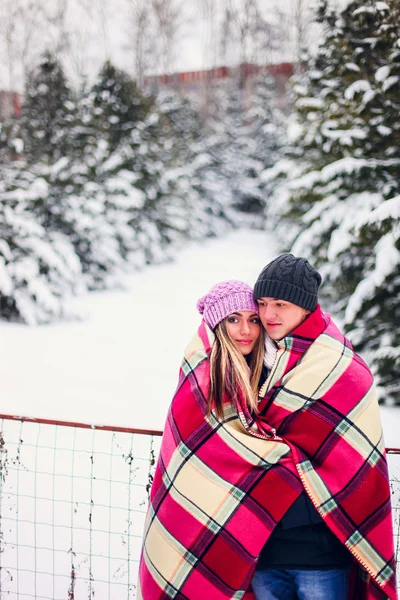 The young couple. — Stock Photo, Image