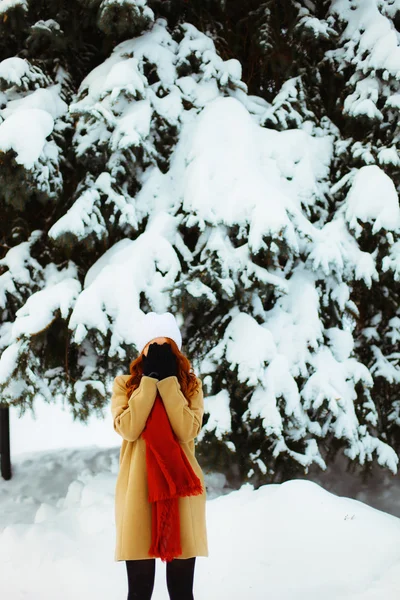 La giovane donna . — Foto Stock