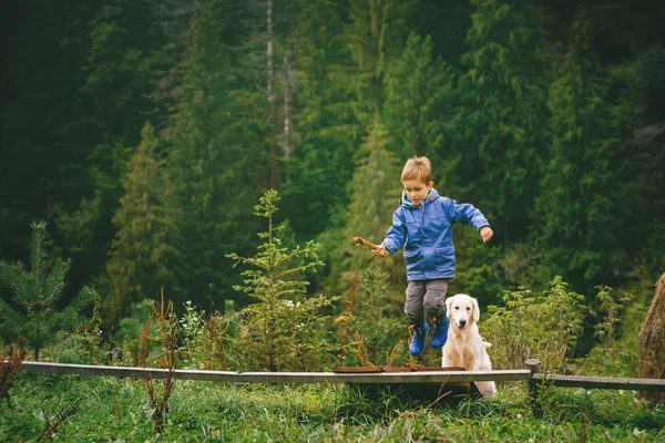 Menino com seu animal de estimação na floresta — Fotografia de Stock