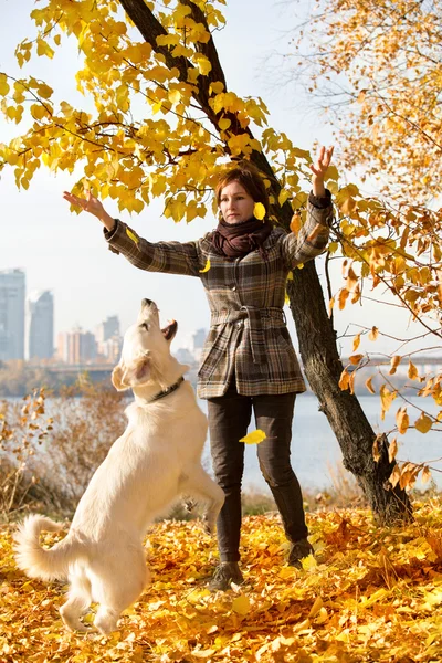 Mujer en el parque de otoño jugando con su perro — Foto de Stock