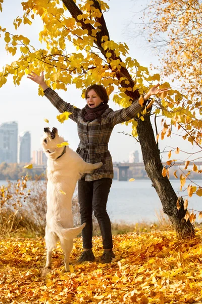 Жінка в осінньому парку грає зі своїм собакою — стокове фото
