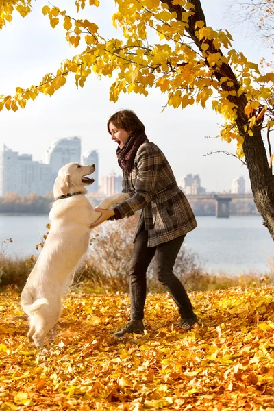 Жінка в осінньому парку грає зі своїм собакою — стокове фото