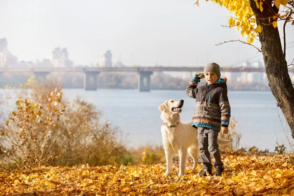 Autumn walk with pet — Stock Photo, Image