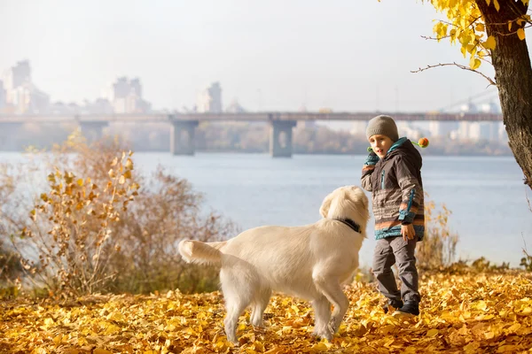 Autumn walk with pet — Stock Photo, Image