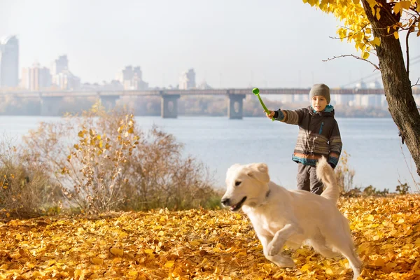 Paseo de otoño con mascota — Foto de Stock