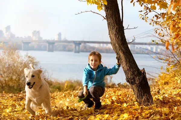 Herfstwandeling met huisdier — Stockfoto