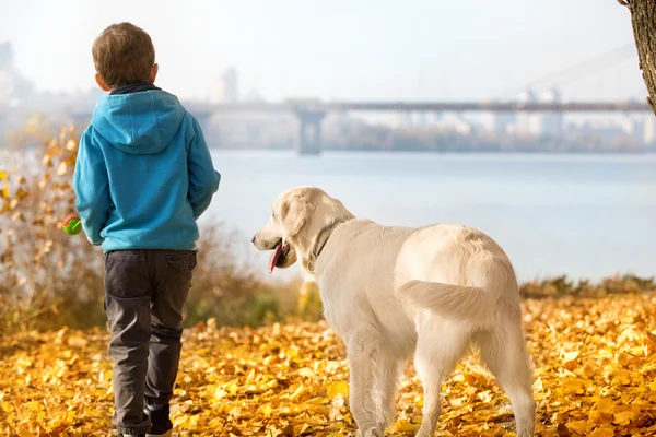 Marche d'automne avec animal de compagnie — Photo