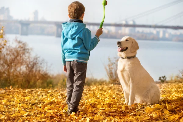 Autumn walk with pet — Stock Photo, Image