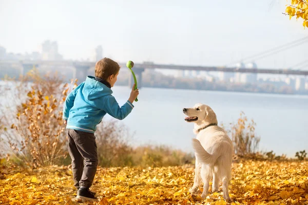 Autumn walk with pet — Stock Photo, Image