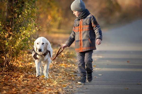 Outono passeio com animal de estimação — Fotografia de Stock