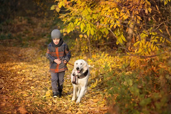 Marche d'automne avec animal de compagnie — Photo