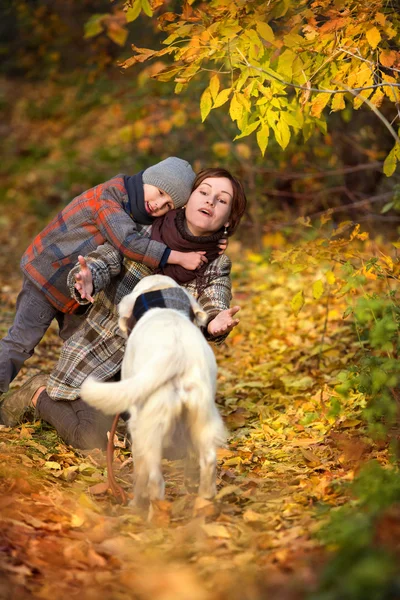 Mutlu anne ve oğlu ile köpek — Stok fotoğraf