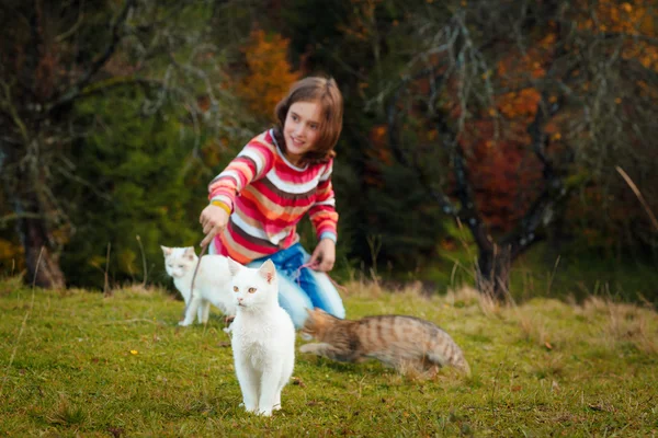 Menina e gatinhos — Fotografia de Stock