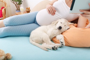 Pregnant woman with her dog at home clipart
