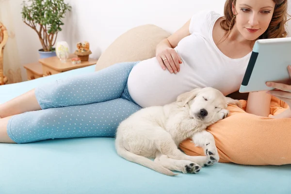 Mulher grávida com seu cão em casa — Fotografia de Stock