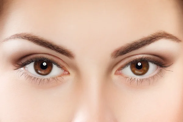 Brown eyes — Stock Photo, Image