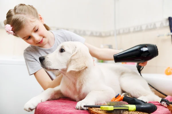 Fille toilettage de son s chien à la maison — Photo