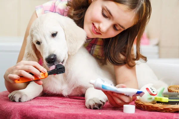 Girl cleaning teeth of her dog at home — Stock Photo, Image