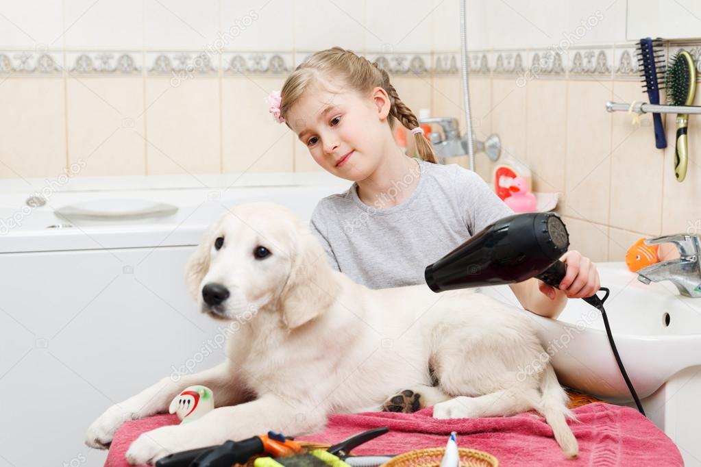 girl grooming of her s dog at home