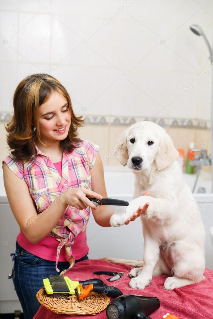 Girl grooming of her dog at home