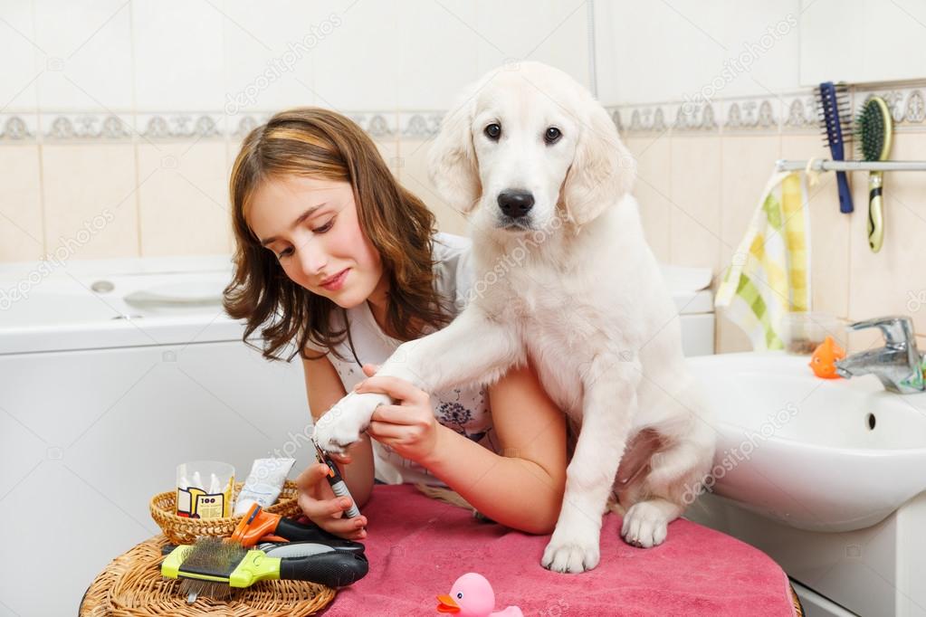 girl grooming of her dog at home