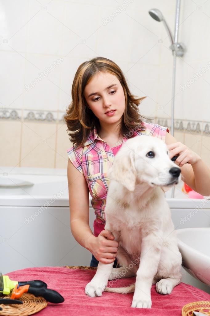 girl grooming of her dog at home