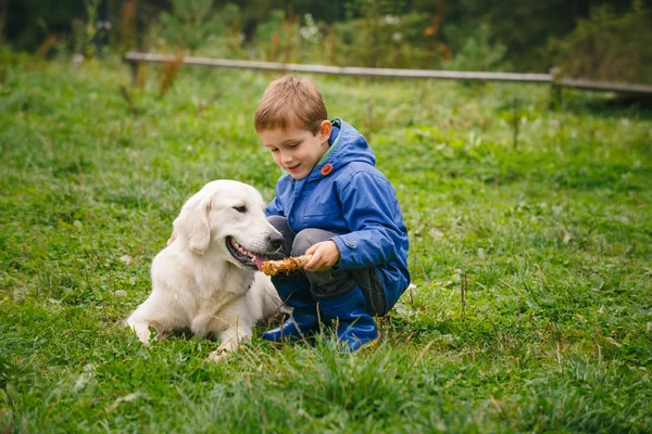 Menino com seu animal de estimação na floresta — Fotografia de Stock