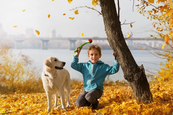 Marche d'automne avec animal de compagnie — Photo