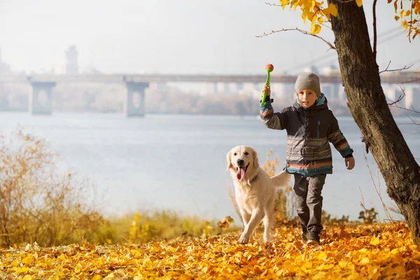 Outono passeio com animal de estimação — Fotografia de Stock