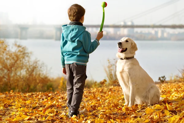 Marche d'automne avec animal de compagnie — Photo