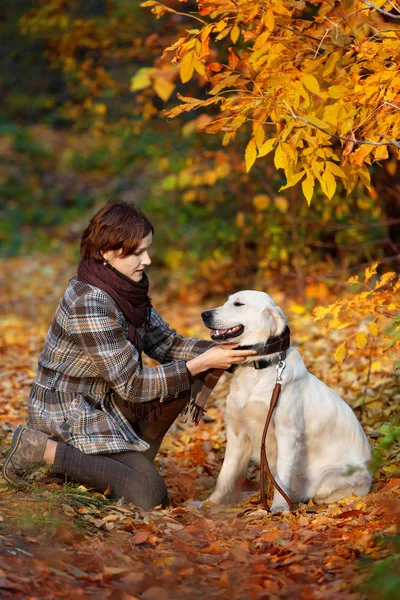 Autumn walk with pet — Stock Photo, Image