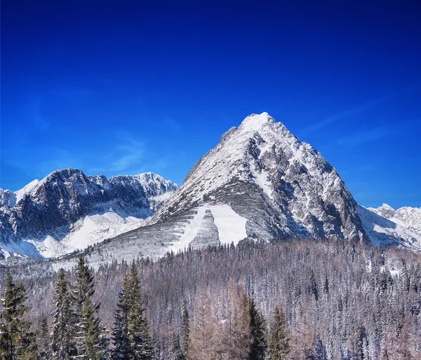 Een zonnige winterdag in hoge Tatra, Slowakije — Stockfoto